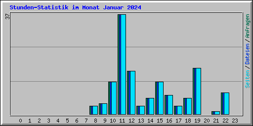 Stunden-Statistik im Monat Januar 2024
